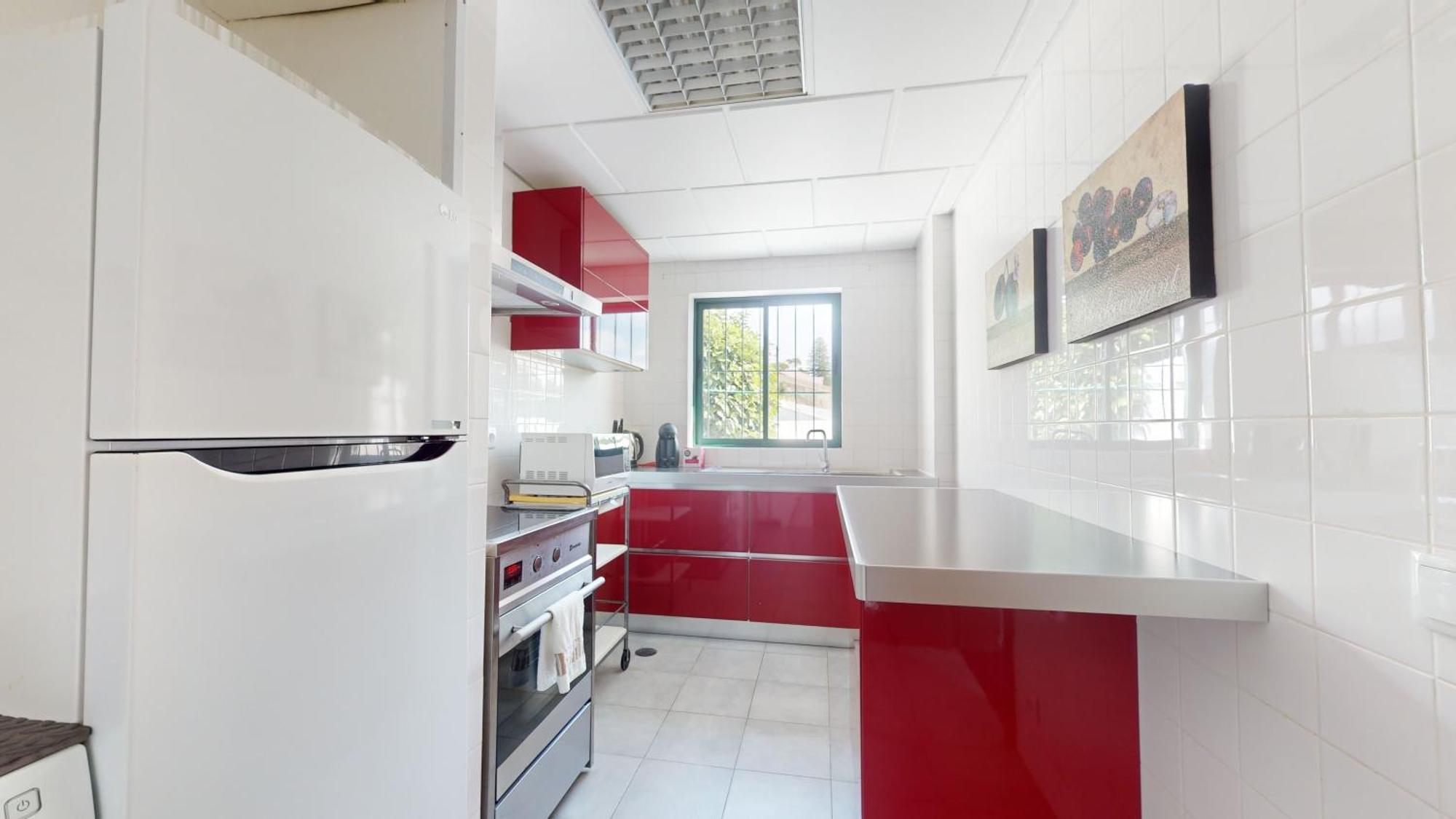 Azores Pedra Apartments - T0 E T1 Ponta Delgada Eksteriør billede