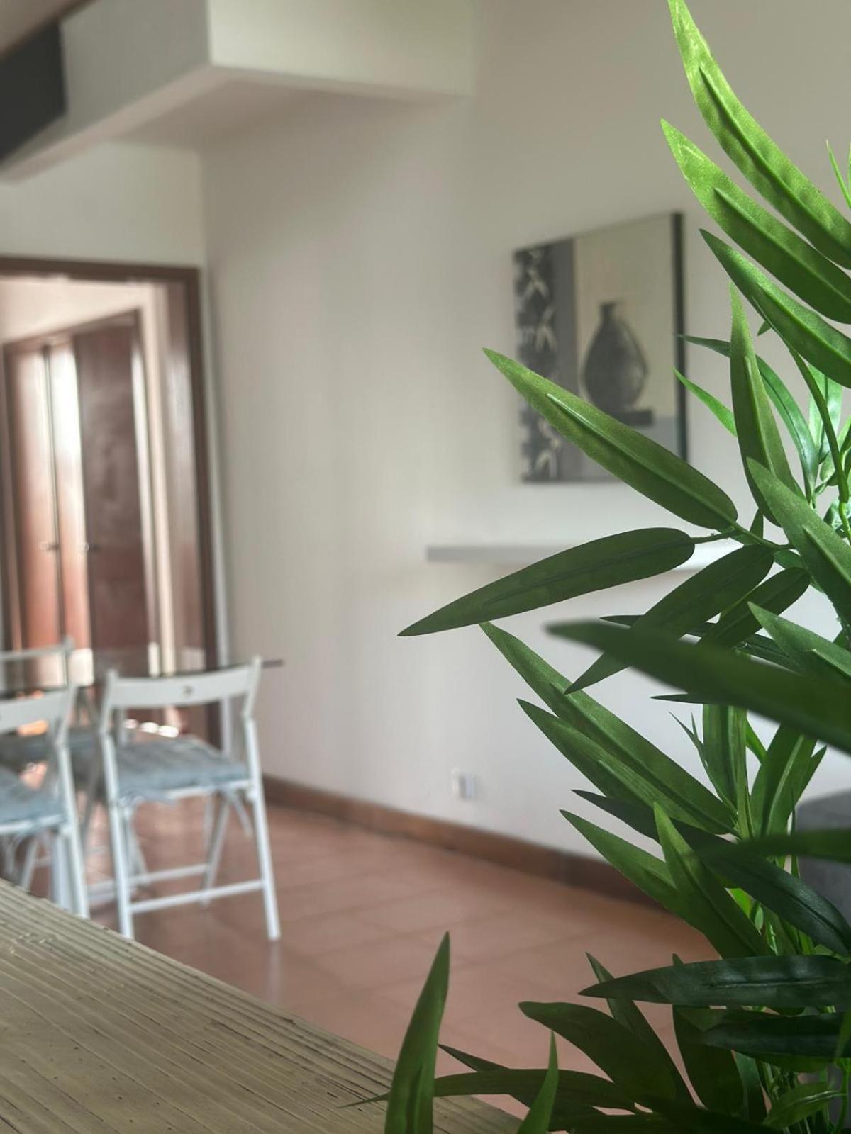 Azores Pedra Apartments - T0 E T1 Ponta Delgada Eksteriør billede