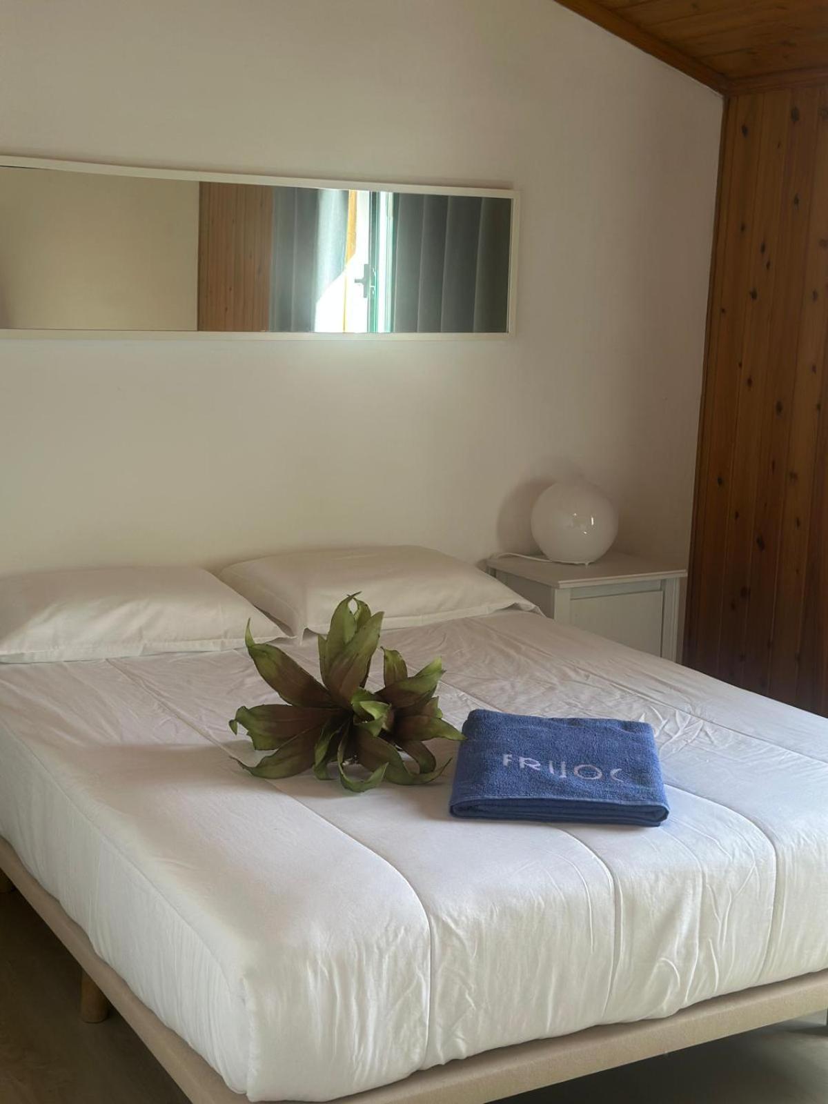 Azores Pedra Apartments - T0 E T1 Ponta Delgada Eksteriør billede